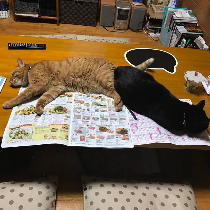 Fde2870c 85ef 4e3f be94 374831b9600b