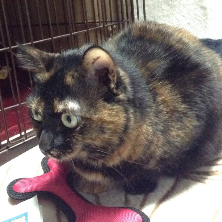 Fde2c355 54bb 4961 a1e1 90e775bcd437