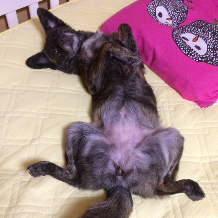 Fde2e719 b28b 493c 93a8 4f0e86806d52