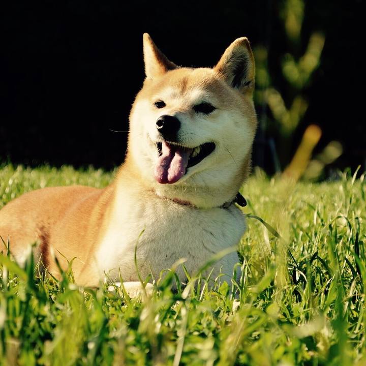 Fde3d9c5 c4b8 49b6 8f11 a5a43234855d