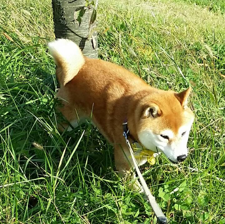 Fde3f027 e9fd 4b14 87e7 18645ba179c7