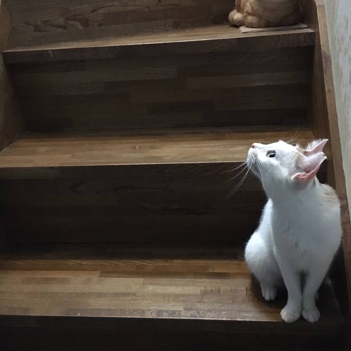 Fde4258f a40e 423f 904d 36c133f4d723