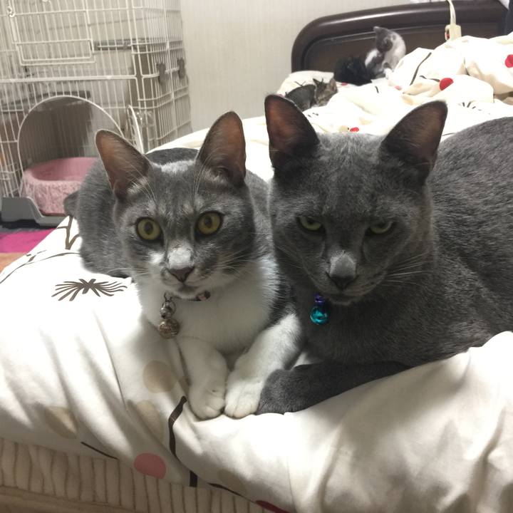 Fde42c0b c261 4e96 b456 1d5009de55c3