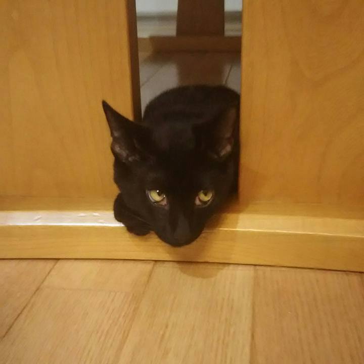 Fde441eb cf28 4162 aee7 e2832ce8c5b5