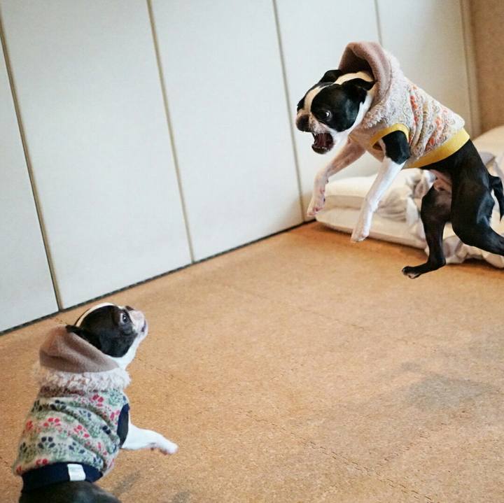 Fde4671e 4169 45c4 9f2c 1cae17efad8c