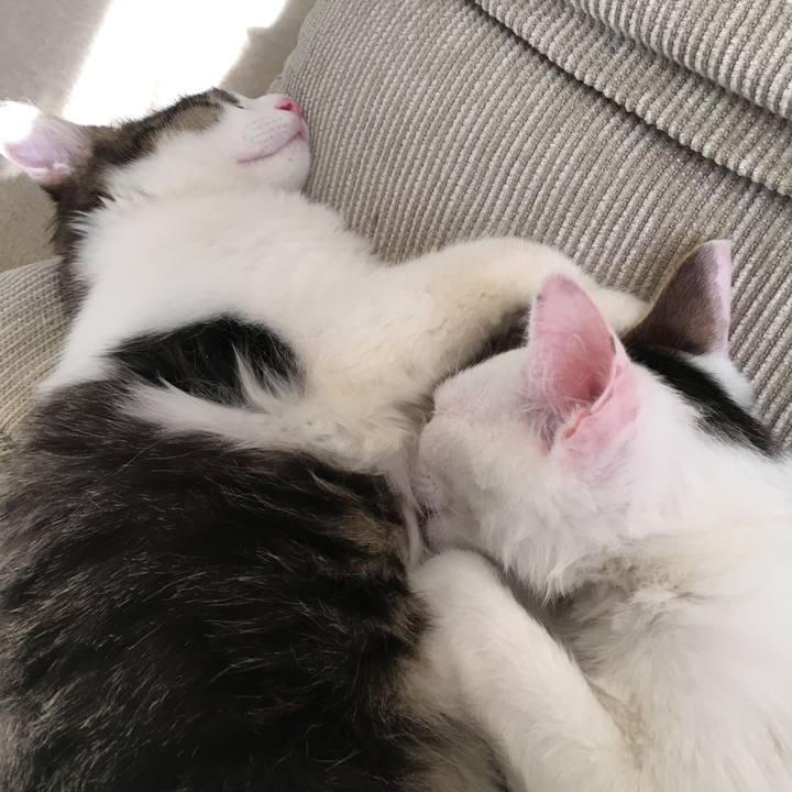 Fde46bc5 d1c3 47a9 881e d131cd62d036