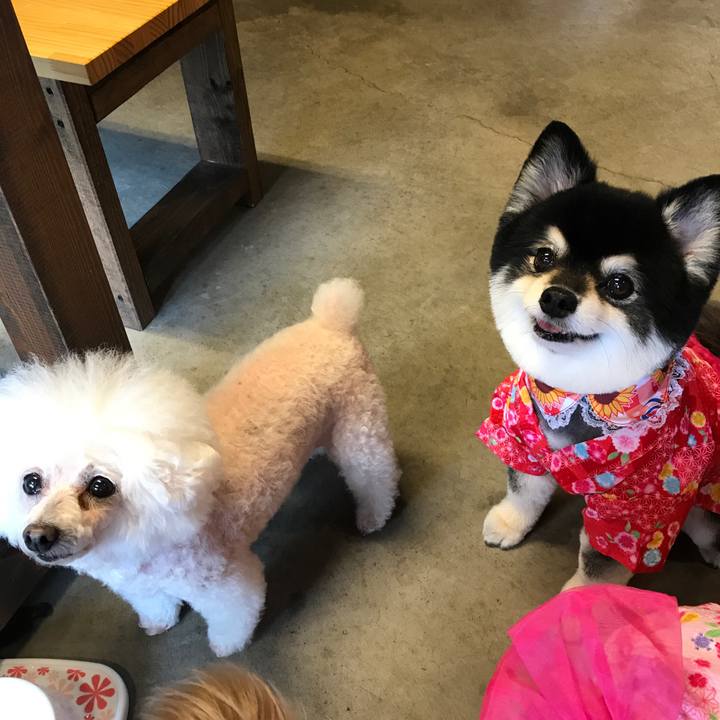 Fde5415e a142 451a bacd a41f8abce4ea