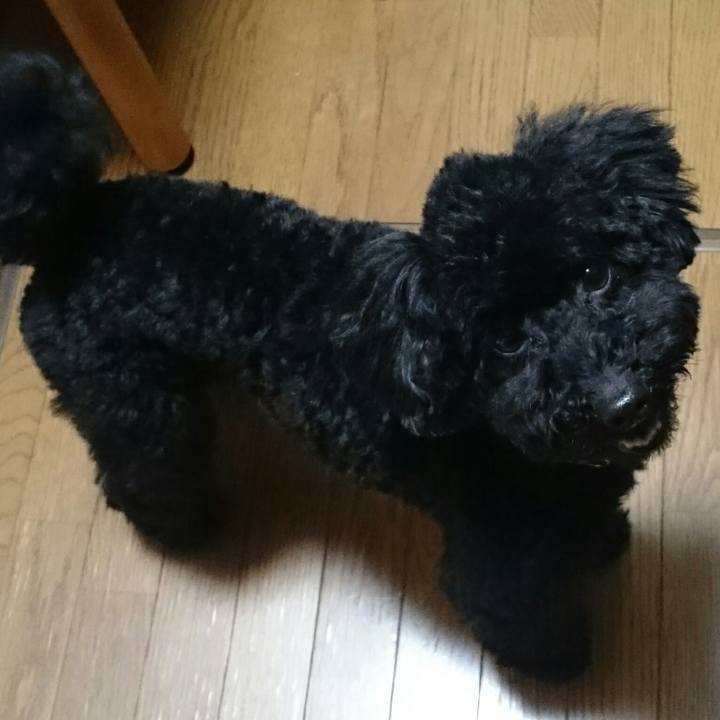 Fde59e3b 6976 43ef b258 71874fc0cad0