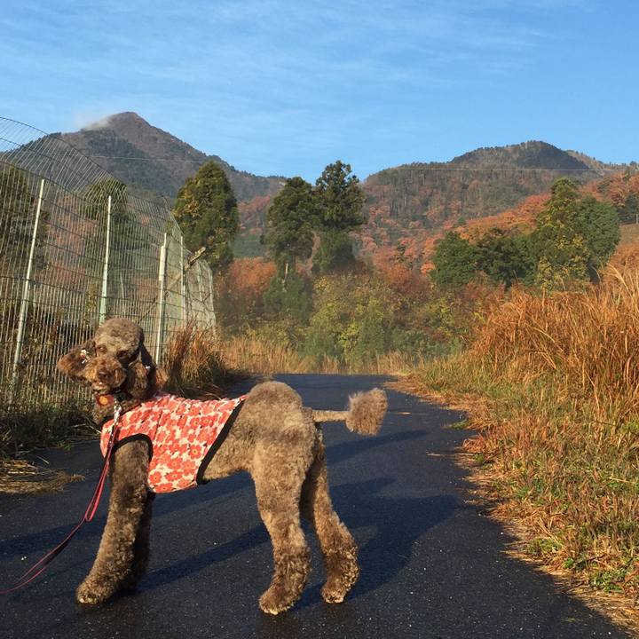 Fde6117c 6227 4287 8c1a 8b2f93130f44