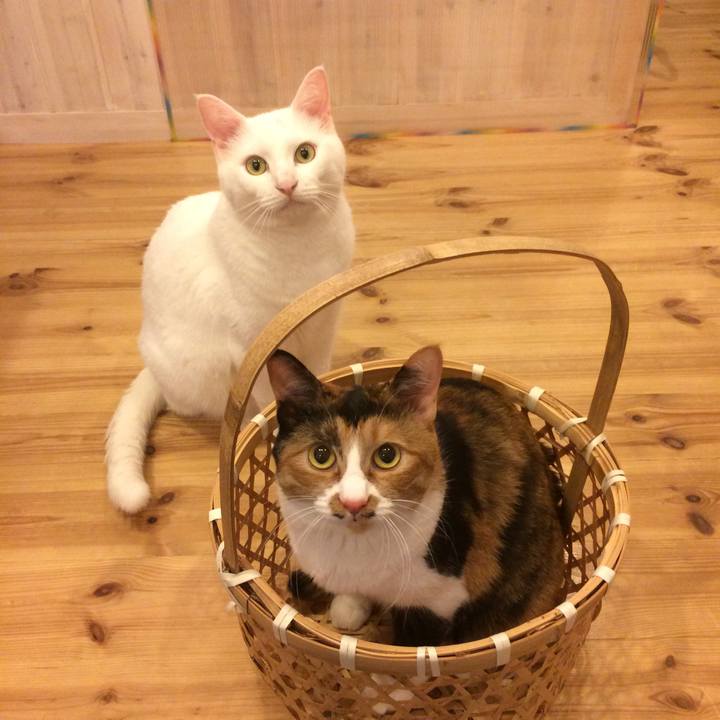 Fde625ed af33 4eef 83a5 996c88da5945