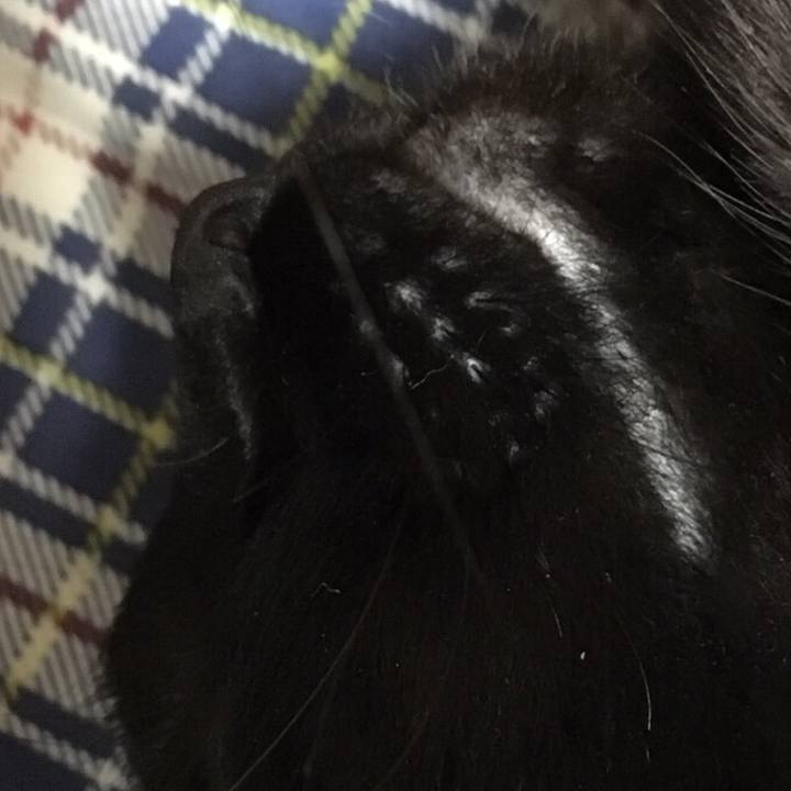 Fde671e7 1141 447d b266 a2fc428fdc24