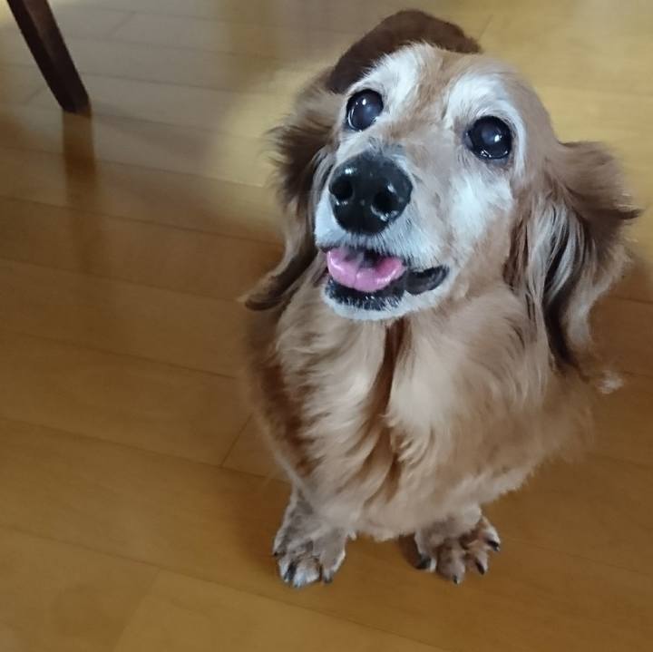 Fde73c07 37bd 4413 9612 8f332aa2097e