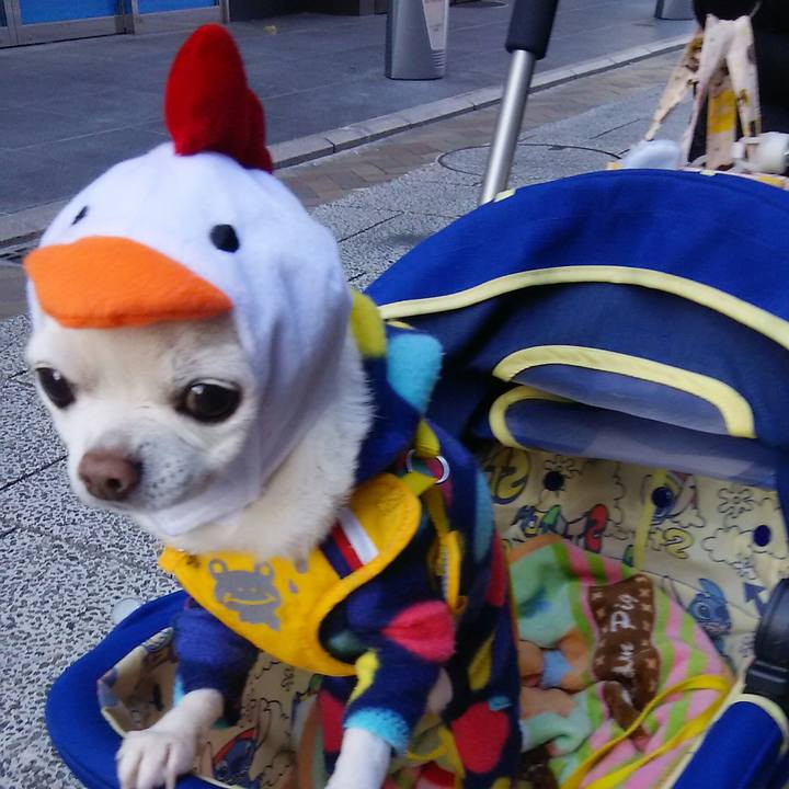 Fde74a92 a88b 4e79 b888 d933fd98eb73