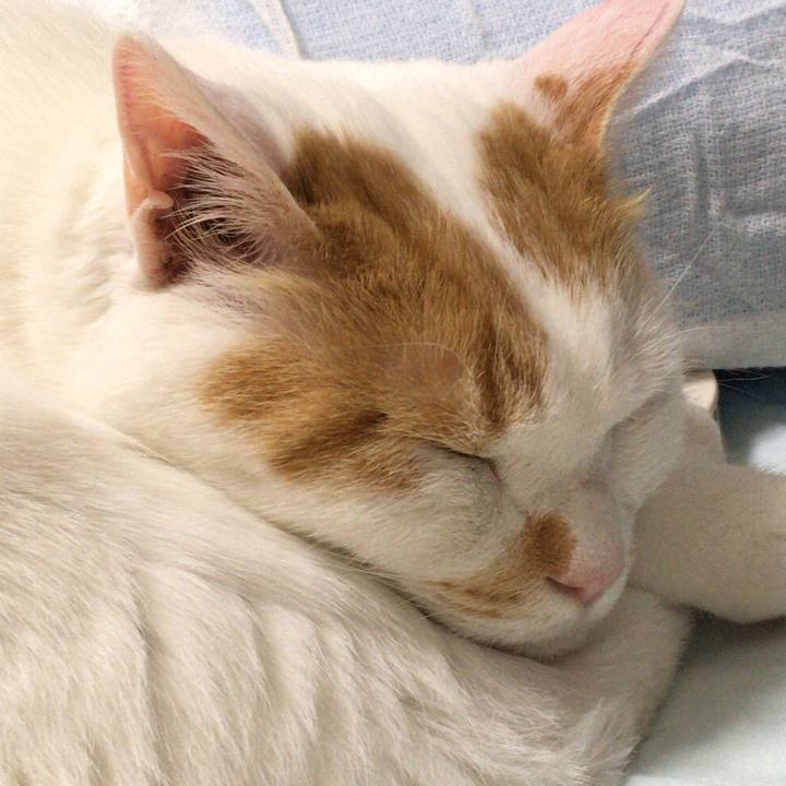 Fde74c29 fe89 48ff b4bf 417567fad925