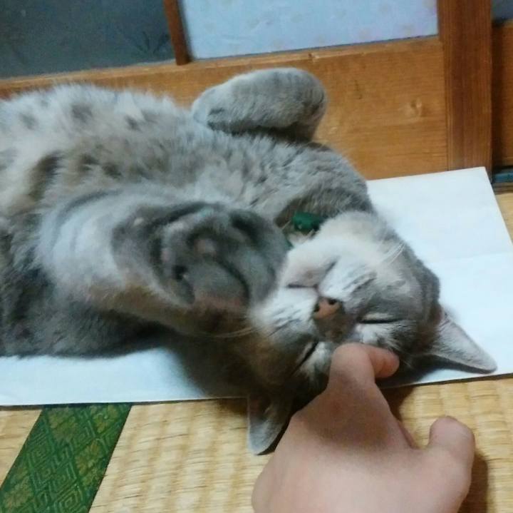 Fde7669e cd8d 42fa 996c 09d98d9ef356