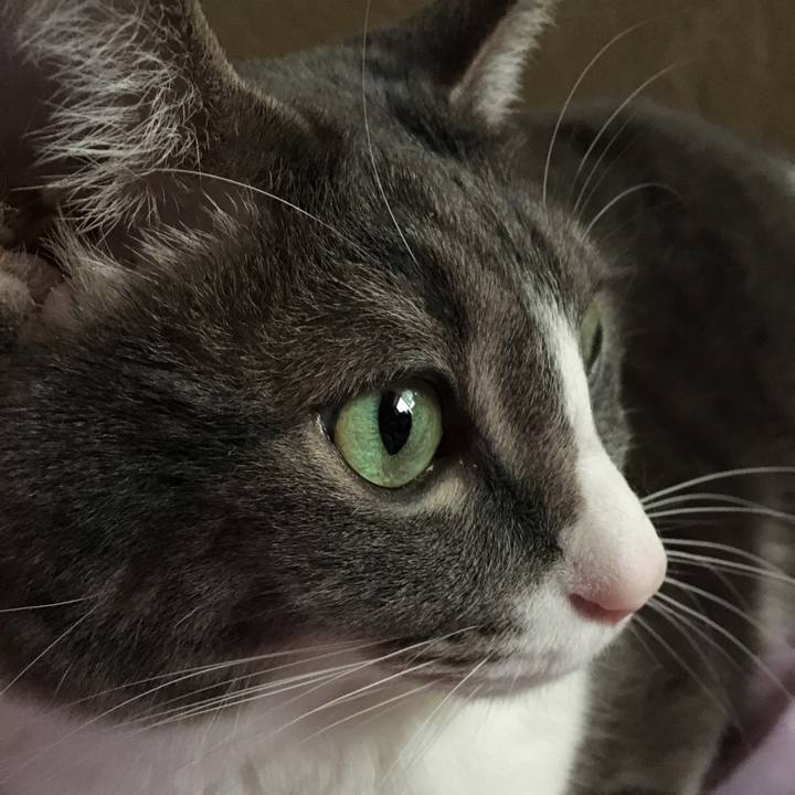 Fde7f816 ce24 4b5b a857 196f19e0417a