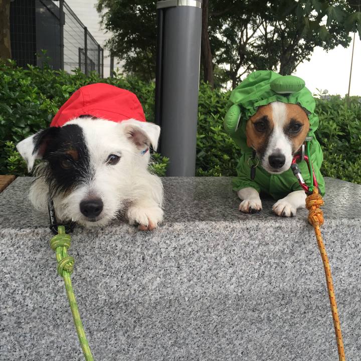 Fde81769 b5e4 4e84 81e1 3a5ab15c7baa