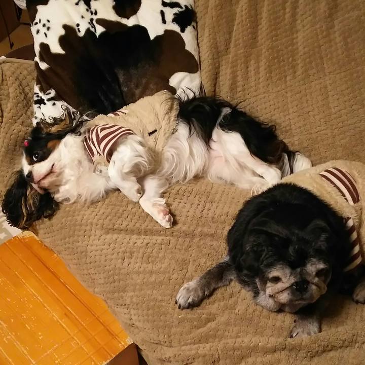 Fde8bc9f bd02 49a3 b235 2f8a5c0b1574