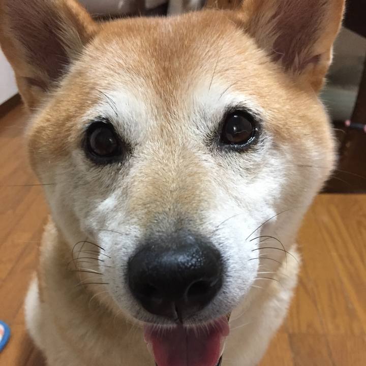 Fde906b1 2923 4660 8aa0 ea6d0051ec69