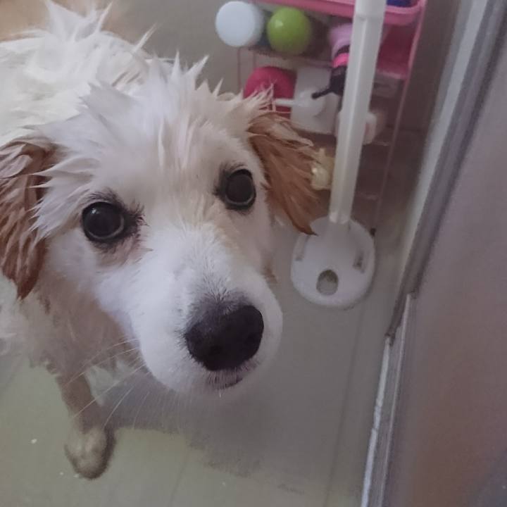 Fde94e23 946b 492b 844b 8989c1804518