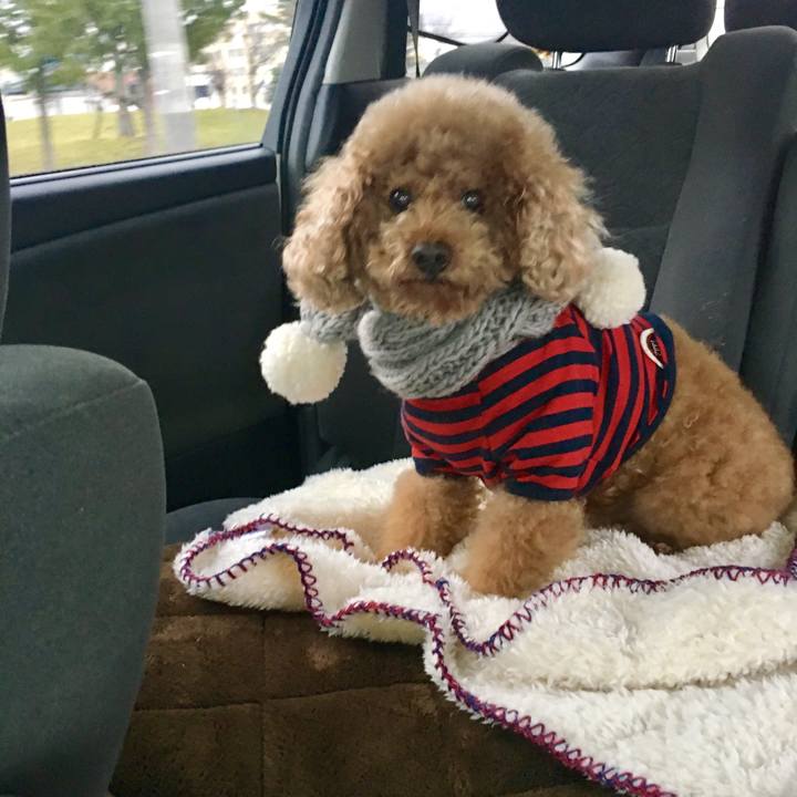 Fde9593c 2186 4296 97fe d2c0e910a8c5