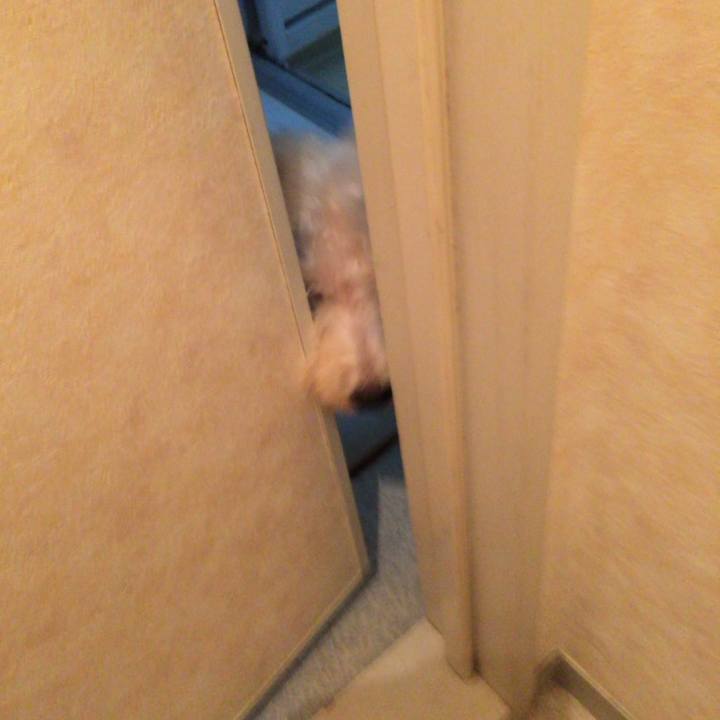 Fde9b116 caf7 421b bacb 4807501469bf