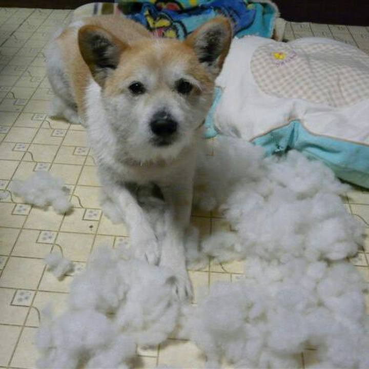 Fde9d982 2fda 4a76 bed3 2d81e59fb370