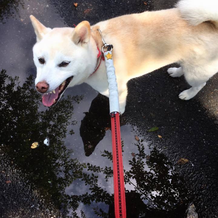 Fde9fca9 15c6 4645 b354 78375001c549