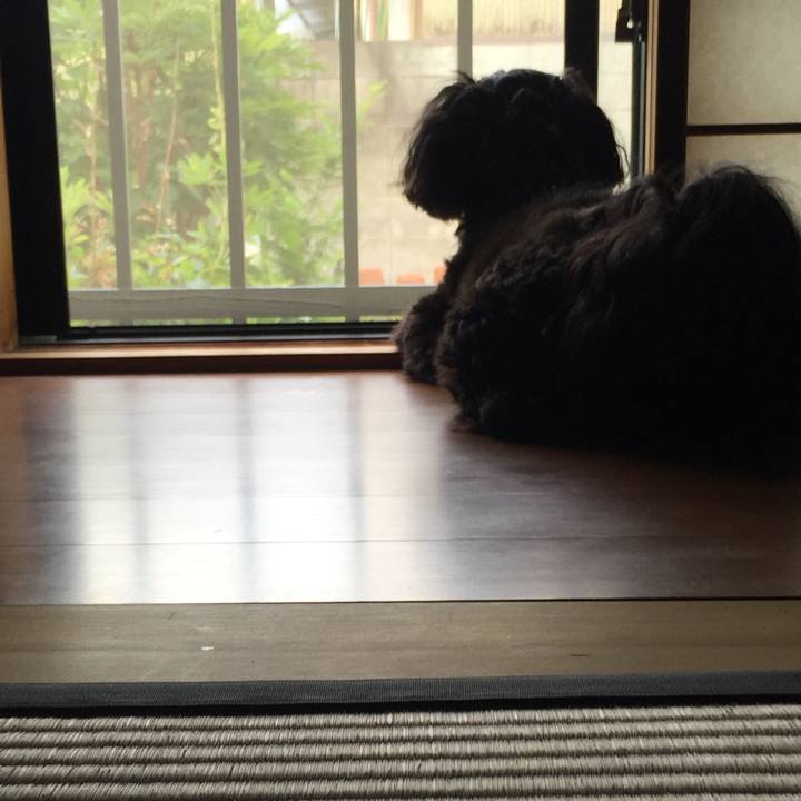 Fdea537a 4512 442a 8875 78e74ad05443