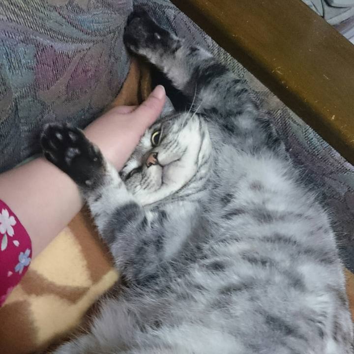 Fdea8f3a d7a4 4fe1 b1f1 fc4df9ab9942