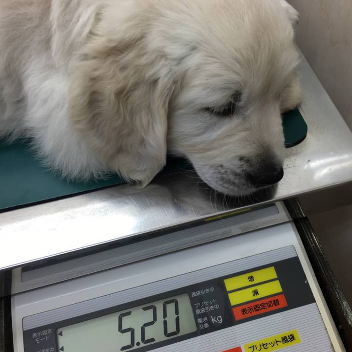 Fdeb6099 26d3 47fd a038 165b6eae90fe