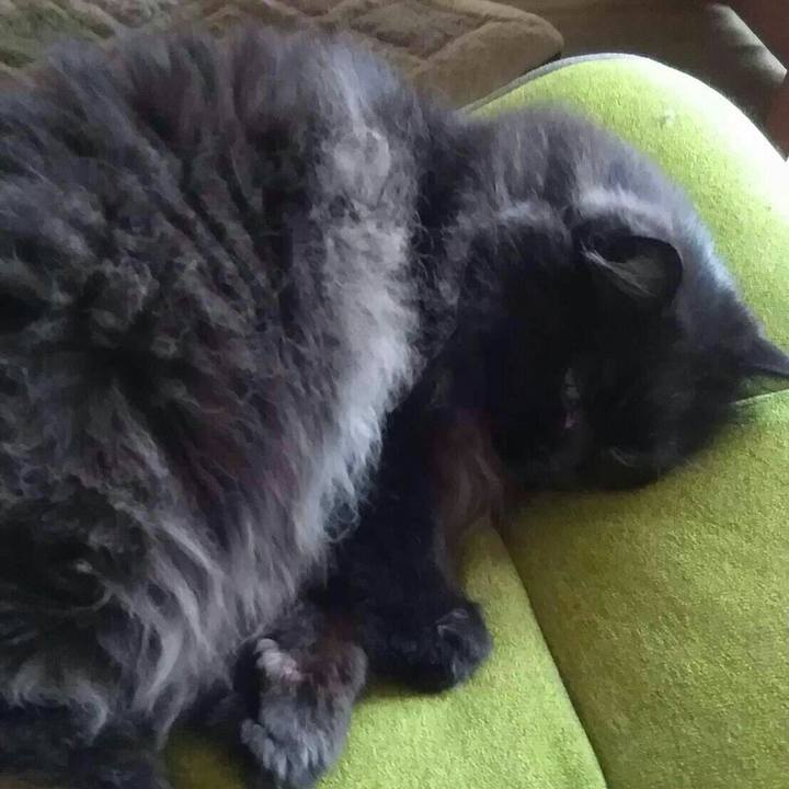 Fdeb6f02 e861 4ba5 a631 9dd5b983b26c