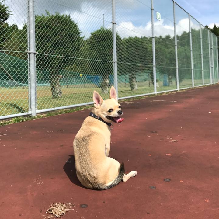 Fdebbe37 6fdb 4325 9ef4 4aa3bd382fa7