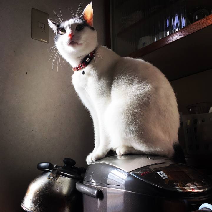 Fdec9c03 6a14 454b 9115 9d5fce87faa2