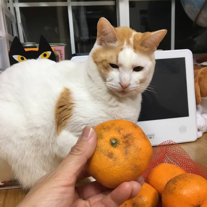 Fdecd958 5ebb 427d abc0 1cbc84ad49f1