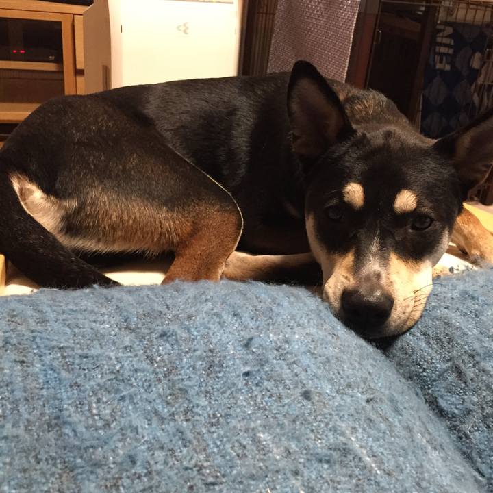 Fdecdb70 d99c 45b2 9bfe d5862aa63bbd