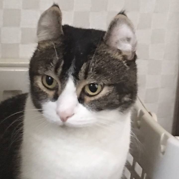 Fdee0ddb 21dd 4267 b235 1963a3d25cc2