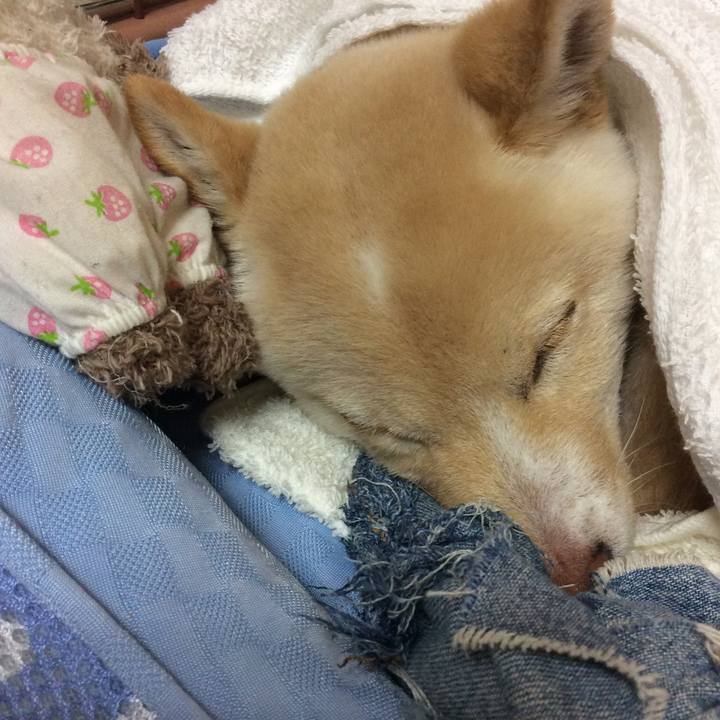 Fdee1fa3 6a94 40db ba68 c40b37054922