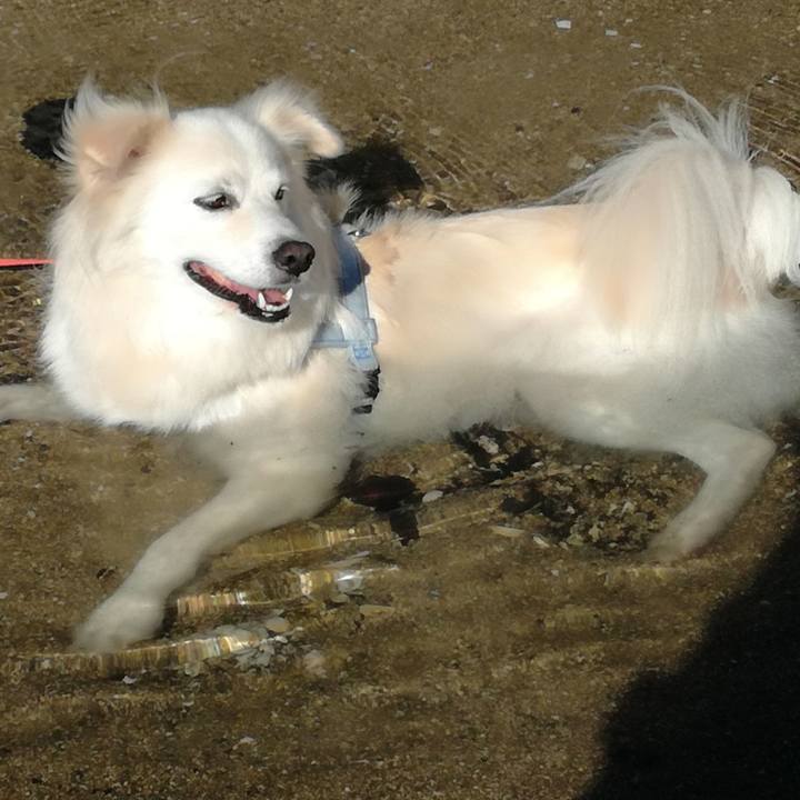 Fdef9325 a7e1 4369 8369 8db34aab77d8