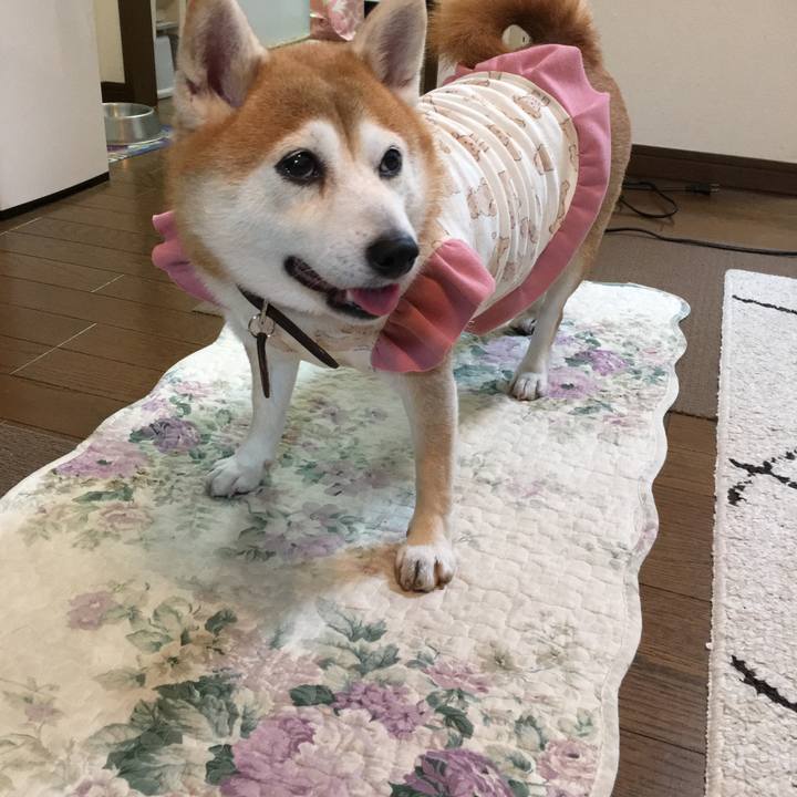 Fdefe5a1 c7c9 4c6f b723 e1fcb5c8df2b