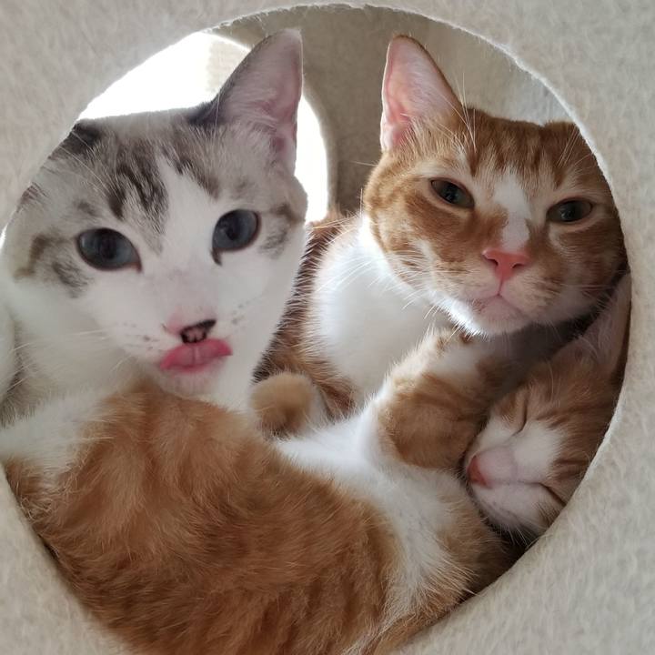 Fdf0b7c7 fbb1 47b0 96f8 9e927cf85c12