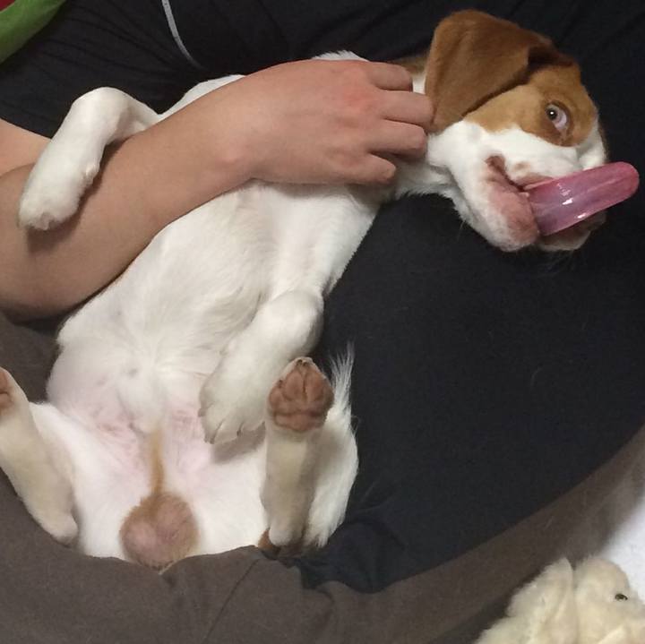 Fdf0f529 5bc6 4ac4 a2de bd16934914be