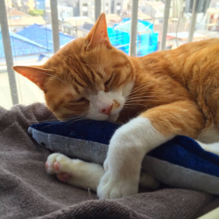 Fdf16ec0 4e99 4b64 91a7 907af85006d7