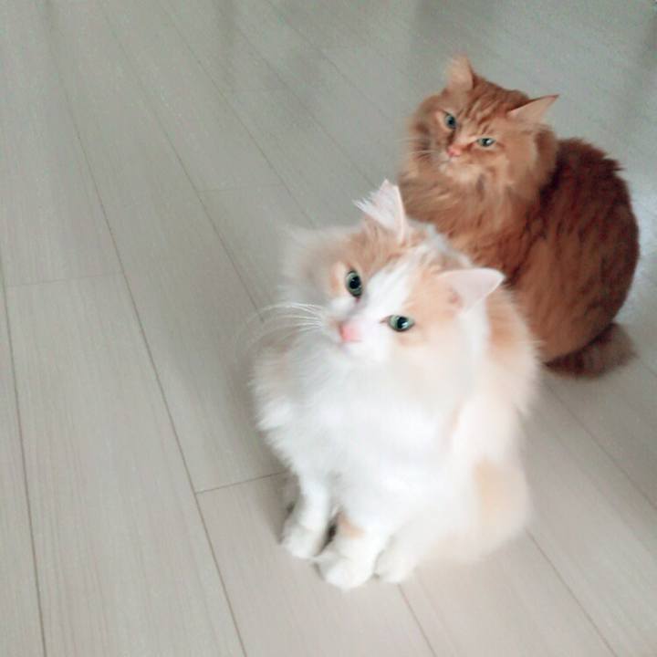 Fdf17ec4 7c6d 4f81 93a4 712efb9bdd97