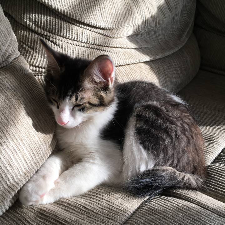 Fdf1ae91 ecc0 4271 bfa7 998dd3ea8f87