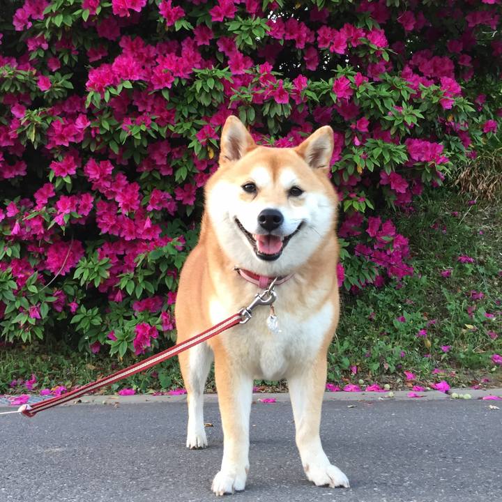 Fdf20cb3 6ca3 497d bae7 ca7961856050