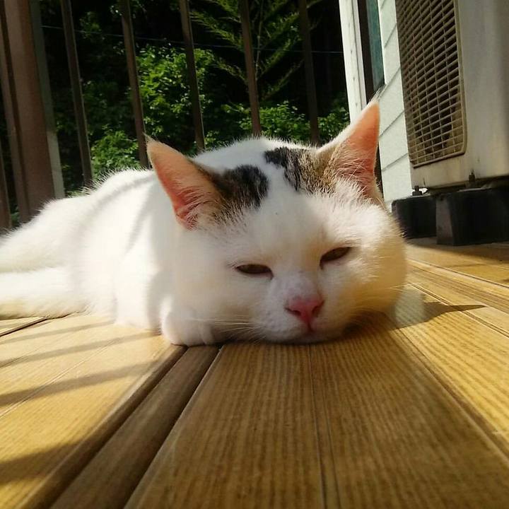 Fdf21078 d100 4f62 a6d4 c3285e1f6b9b