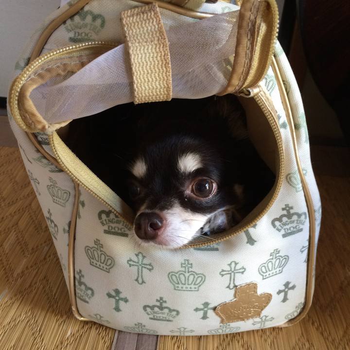 Fdf2196b c3dc 4342 9b14 9eace90183c4