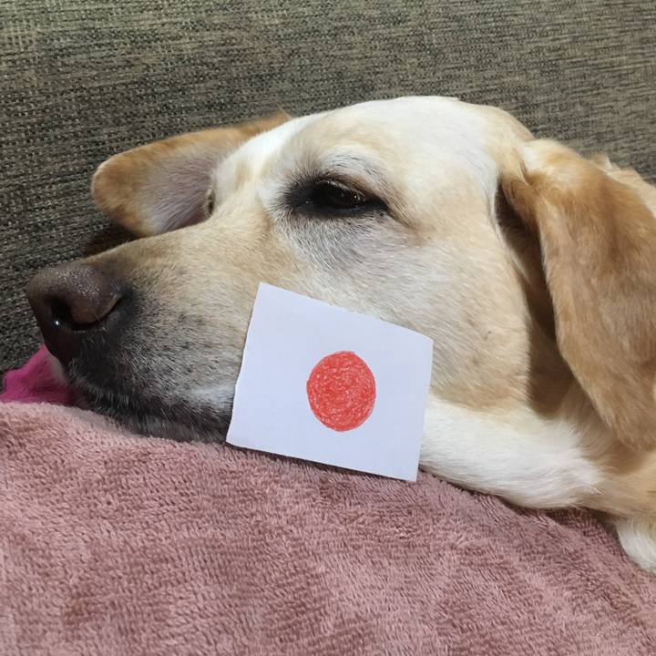 Fdf25f54 5cc9 4590 bc96 e92a686ddb1a