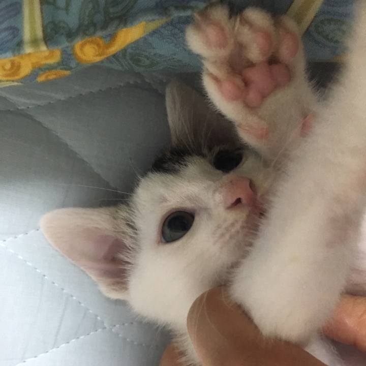 Fdf30ad4 6b9e 475e 88e5 74e3e087607a